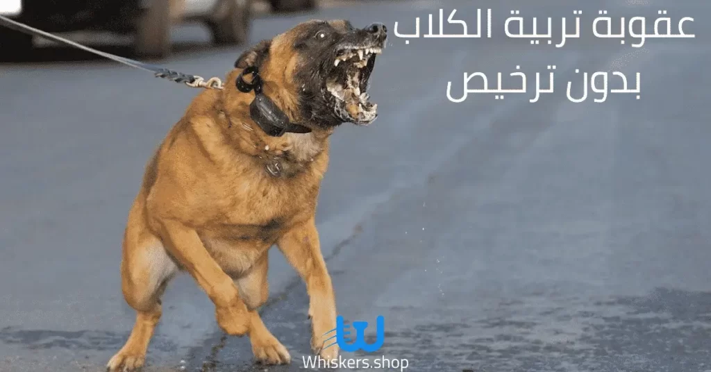 عقوبة تربية الكلاب بدون ترخيص