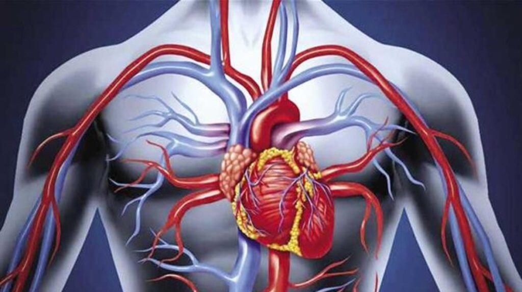 قوية ومرنة.. أوعية دموية “ثلاثية الأبعاد” تنهي معاناة مرضى القلب…..
