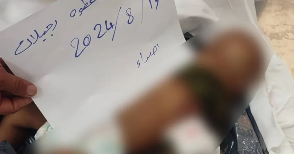 من بين 115 رضيعا.. “عطوة” ولد وعاش واستشهد في الحرب…