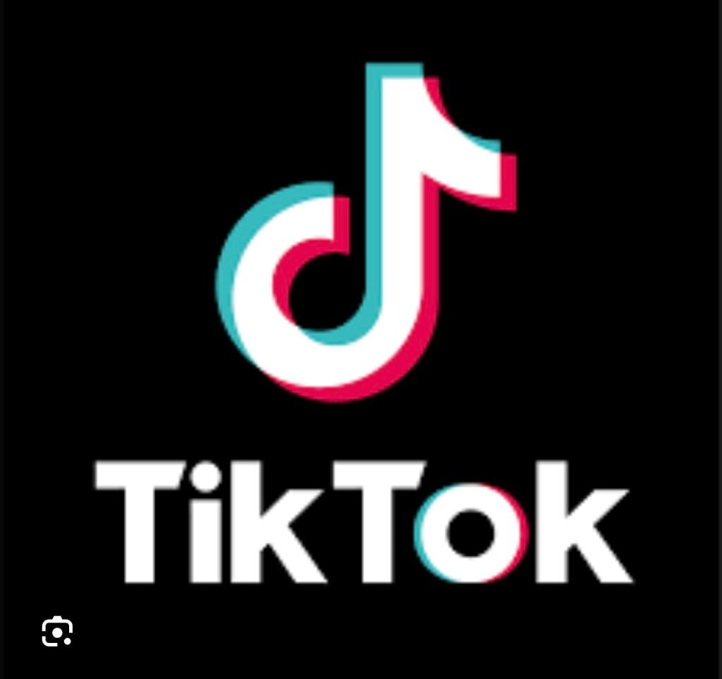 **The Impact of TikTok in Egypt and the Arab World: Opportunities and Challenges**
