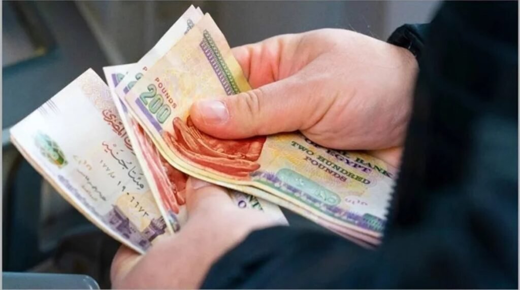 “زمن التنقية”.. هل ينهي الدعم النقدي مشكلات توزيع السلع؟…