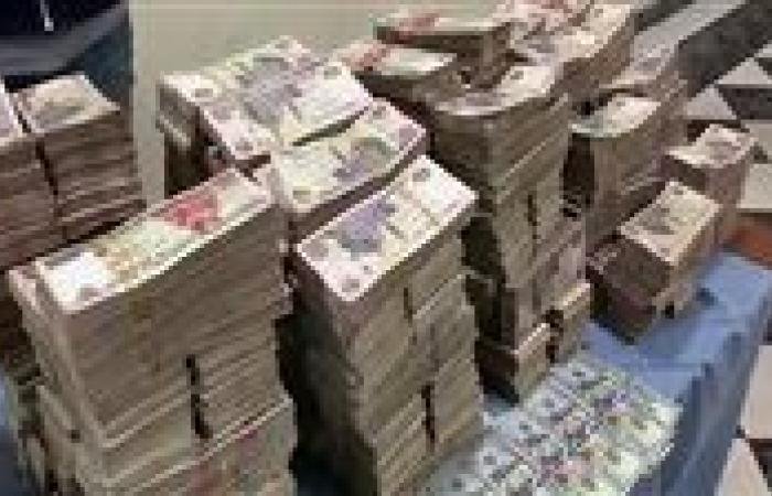 الأموال العامة تضبط 6648 قضية اختلاس وتهريب..