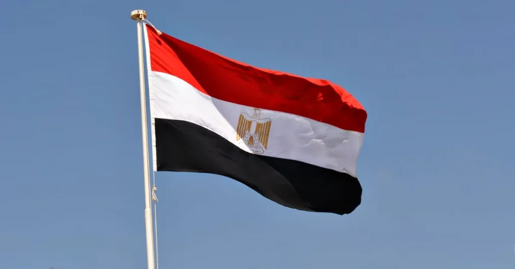 مصر تنضم لخطاب المطالبة بوقف تصدير الأسلحة إلى إسرائيل…