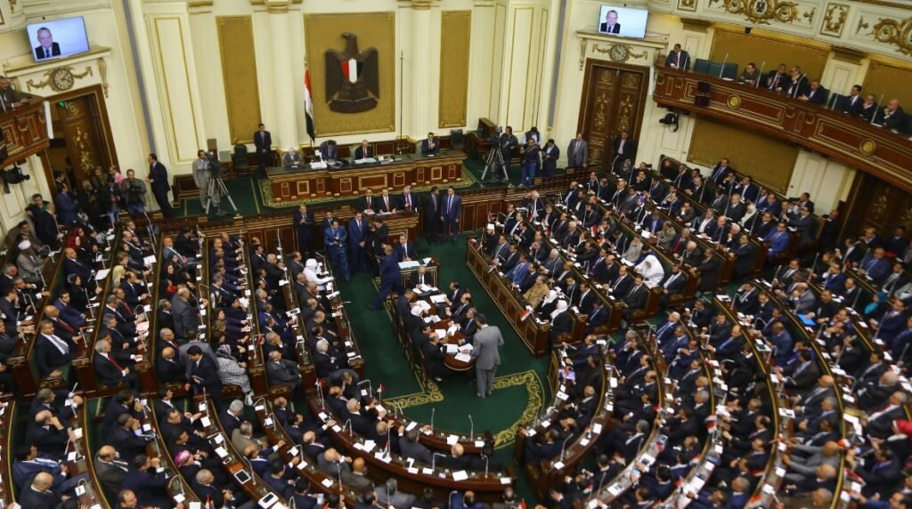 رسوم على المصريين بالخارج.. فكرة قانون تنتهي بـ”بلاش وجع دماغ”..