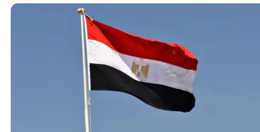 الخارجية المصرية: نعمل على سرعة الإفراج عن البحارة المحتجزين في إيران