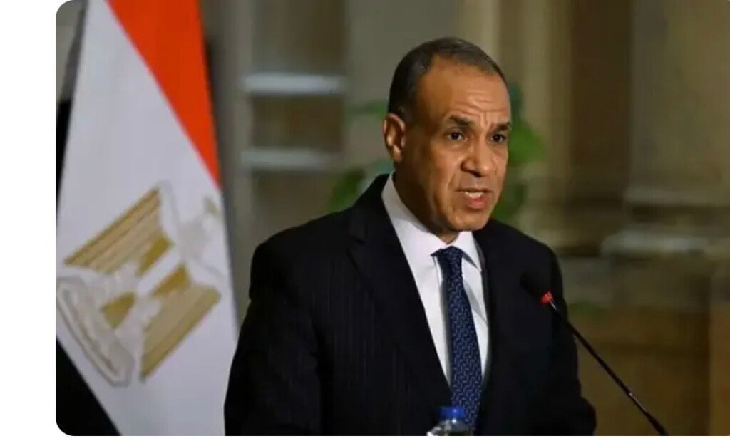 وزير الخارجية المصري: نرفض أي إجراءات أحادية للمساس بسيادة الدول