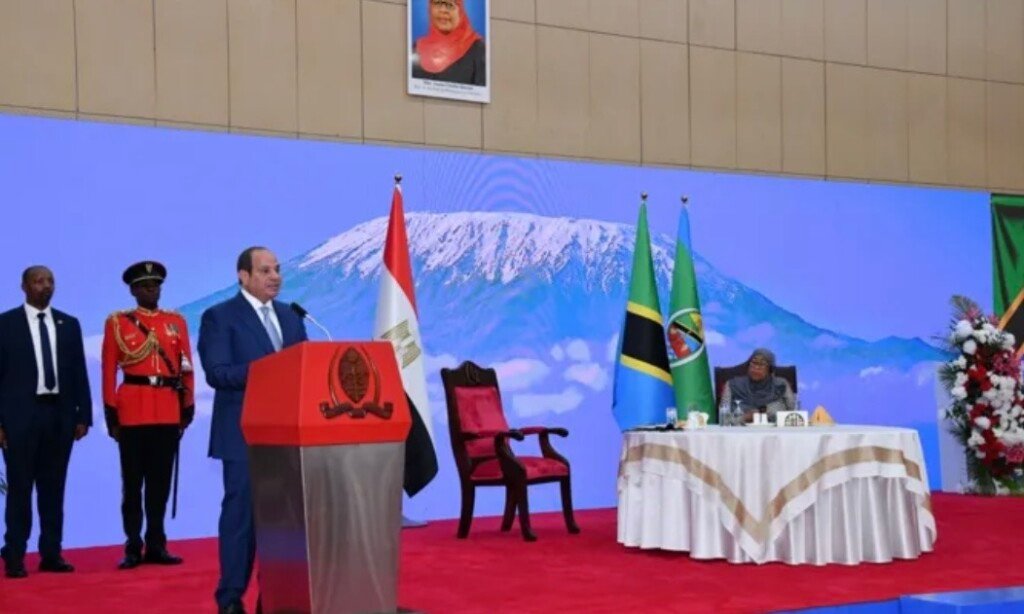 دلالات زيارة الرئيس المصري إلى تنزانيا
