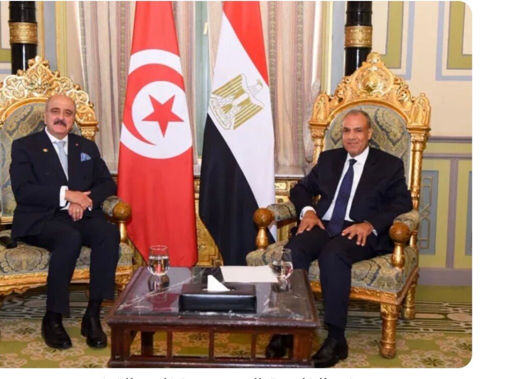 مصر تؤكد دعم الجهود الرامية لتحقيق الأمن والاستقرار في ليبيا