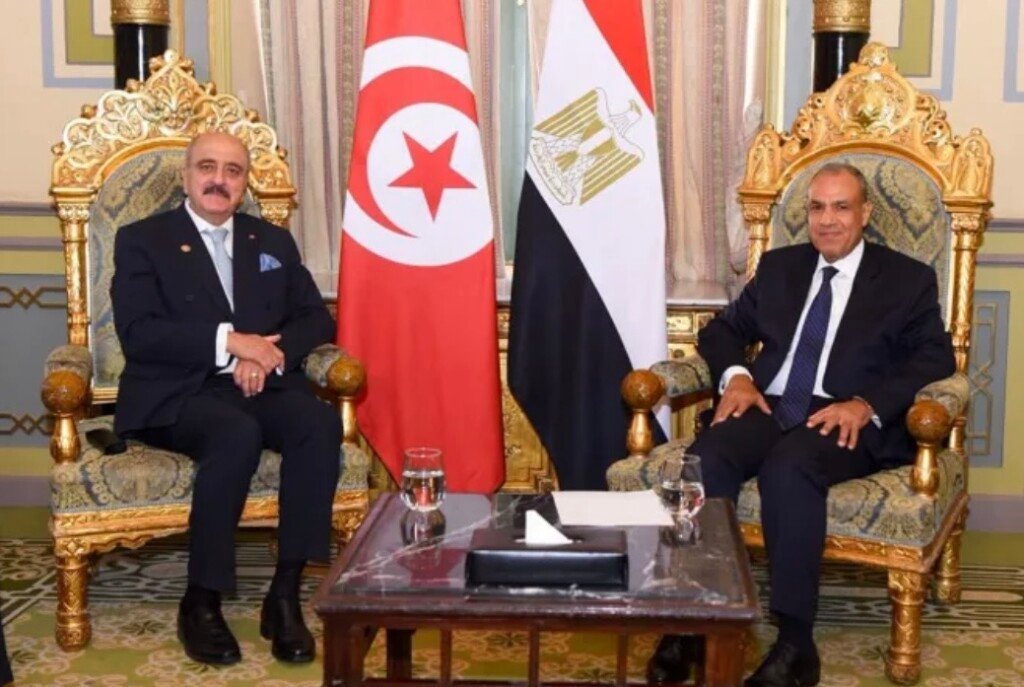 مصر تؤكد دعم الجهود الرامية لتحقيق الأمن والاستقرار في ليبيا