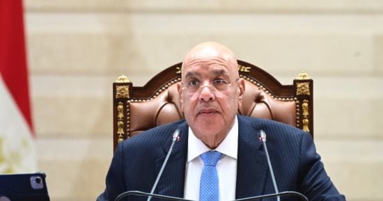 مجلس الدفاع الوطني المصري يعلن التضامن الكامل مع المملكة العربية السعودية