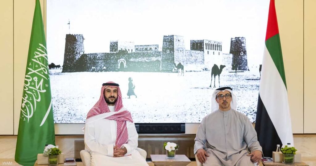 الشيخ منصور بن زايد يلتقي بالأمير خالد بن سلمان لتقوية التعاون الإماراتي السعودي