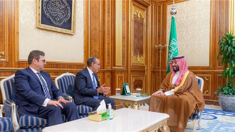 بدر عبد العاطي ورشاد يسلما رسالة السيسي إلى الملك سلمان في الرياض