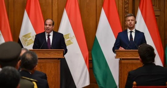 الرئيس السيسي يرحب بإحياء مجموعة فيشجراد.. وتطلع مصر لتوسيع قنوات التواصل مع دولها