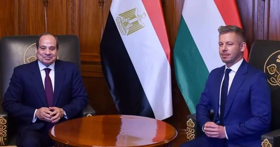 الرئيس السيسي: تهجير الفلسطينيين ستكون له تداعيات وخيمة تمتد لأوروبا