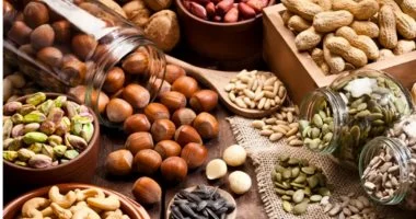 ما أفضل أنواع المكسرات لصحتك؟.. تعرف على فوائد اللوز والجوز والفستق والكاجو