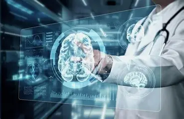  دراسة تقارن شيخوخة الدماغ لدى البشر والقردة العليا
