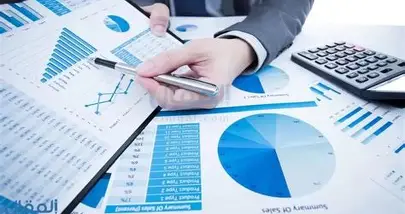 أخطاء المحاسب القانوني في التقارير المالية.. متى تنشأ المسؤولية؟