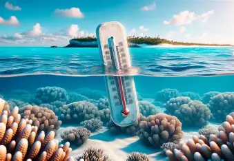المحيطات تمتص الحرارة.. كيف يؤثر ذلك في الطقس والحياة البحرية؟