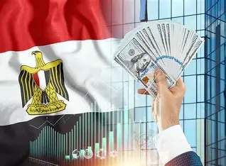 الاستثمار الأجنبي المباشر في مصر — الواقع والمستقبل