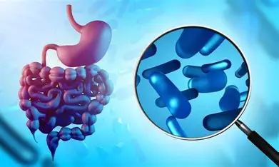  ميكروبات الأمعاء تكشف أدلة جديدة على هجرات البشر عبر التاريخ