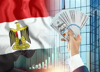 الشركات الناشئة في مصر.. هل يكفي جذب الاستثمارات لضمان نجاح المشروعات الجديدة؟