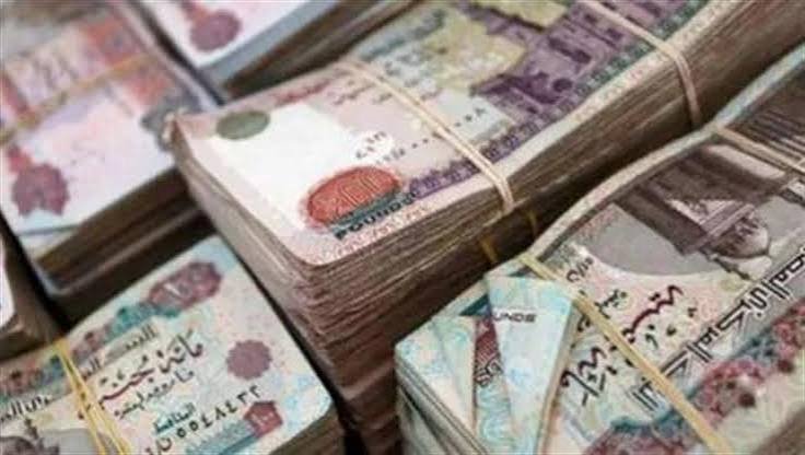 تأمين البطالة.. خطوات وشروط الاشتراك وقيمة التعويض المالي
